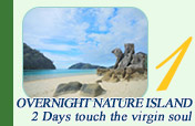 Overnight Nature Island: Touch the virgin soul
