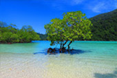 Nature Island - Koh Surin