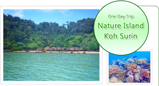 Nature Island - Koh Surin Day